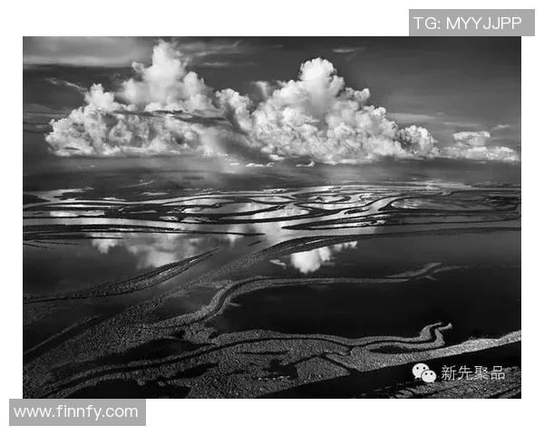 亚马尔地区的能源开发与国际合作前景分析与展望 亚马尔地区的能源开发与国际合作前景分析与展望